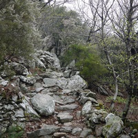 Photo de france - La randonnée du Mont Caroux